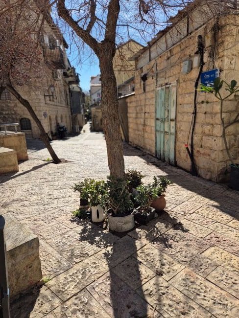 שכונת נחלאות ואזור שוק מחנה יהודה