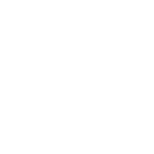 Hotel Noel